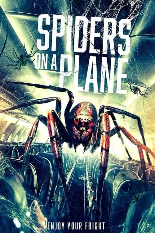 Poster: Spiders on a Plane